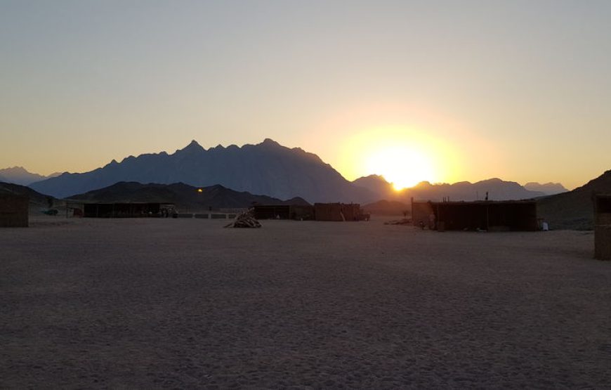 Soma Bay: Tour de safari, quad, pueblo beduino y cena barbacoa con espectáculo