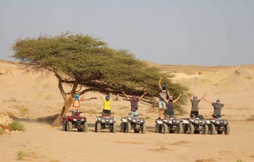 Soma Bay: Tour de safari, quad, pueblo beduino y cena barbacoa con espectáculo