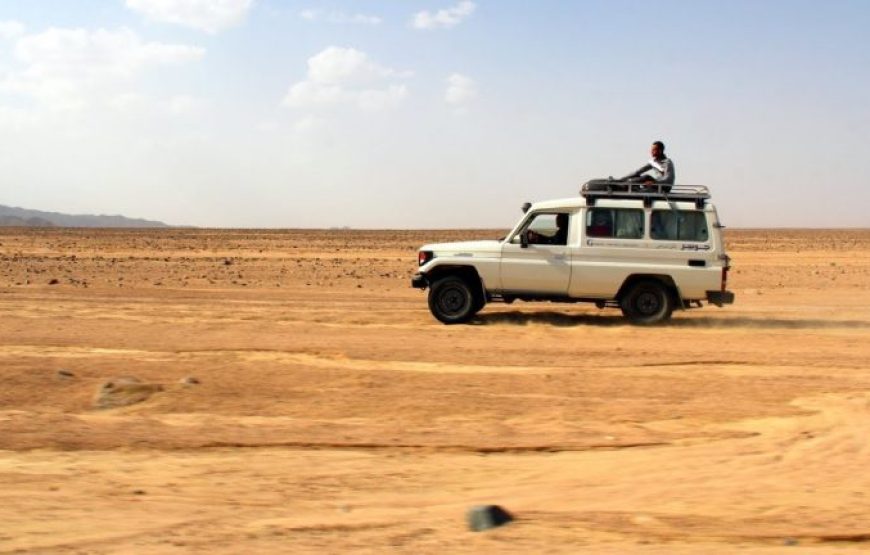 Soma bay: Desert adventure with stargazing by jeep and dinner