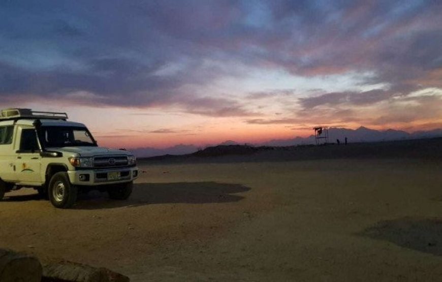 Soma bay: Desert adventure with stargazing by jeep and dinner