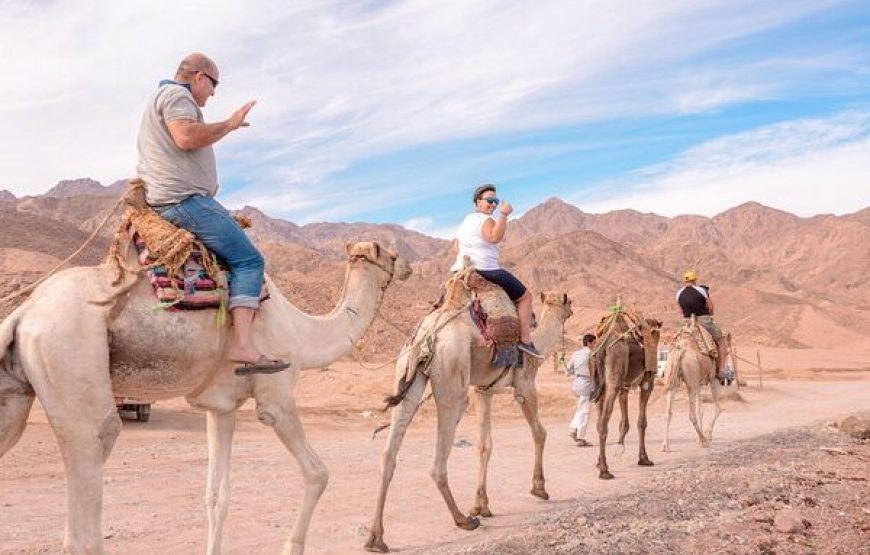 Soma bay: Desert adventure with stargazing by jeep and dinner