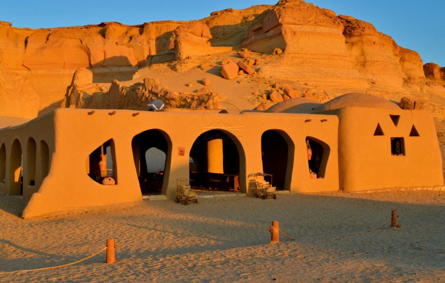 Cairo: Wadi El Hitan (Whale Valley) Desert Safari, Camel Ride & BBQ