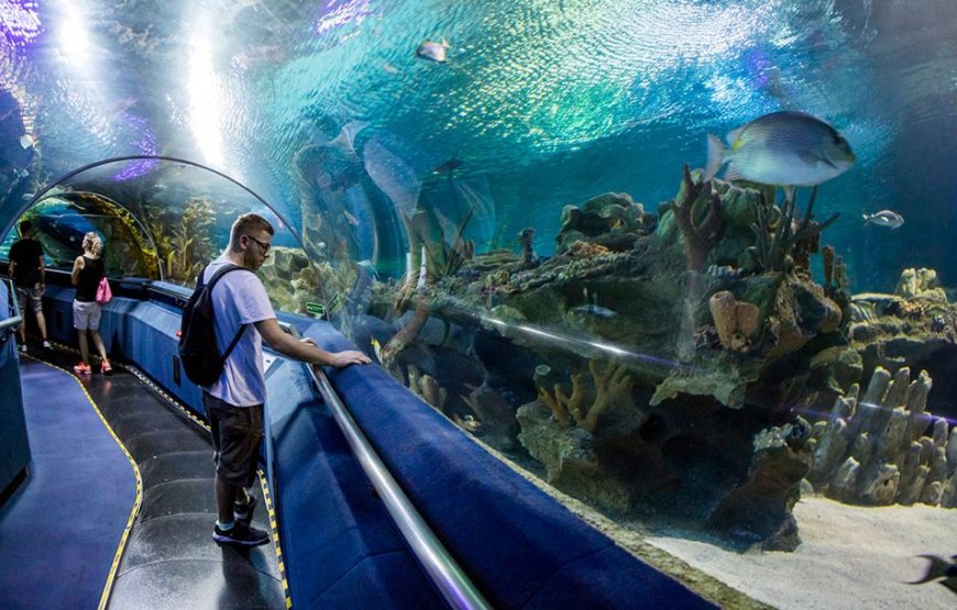 Hurghada: Grand Aquarium Entry Tickets And Transfer