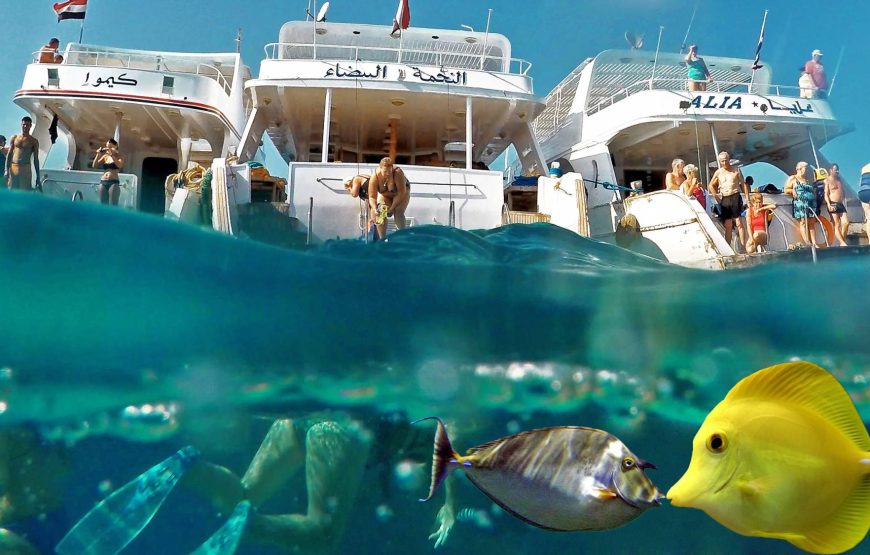 Soma Bay: Orange Bay Island And Snorkeling Tour With Lunch