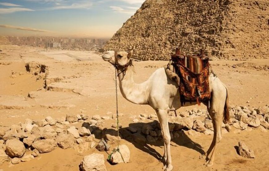 Cairo: Pyramids Of Giza, Sphinx, Saqqara, Memphis & Lunch