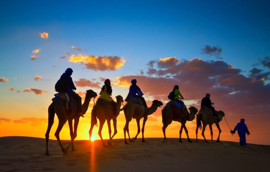 Hurghada: Stars, Sand & Safari: Desert Jeep Ride with Dinner
