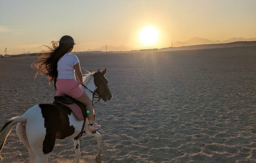 Marsa Alam: Horse And Camel Ride On The Desert Or Beach