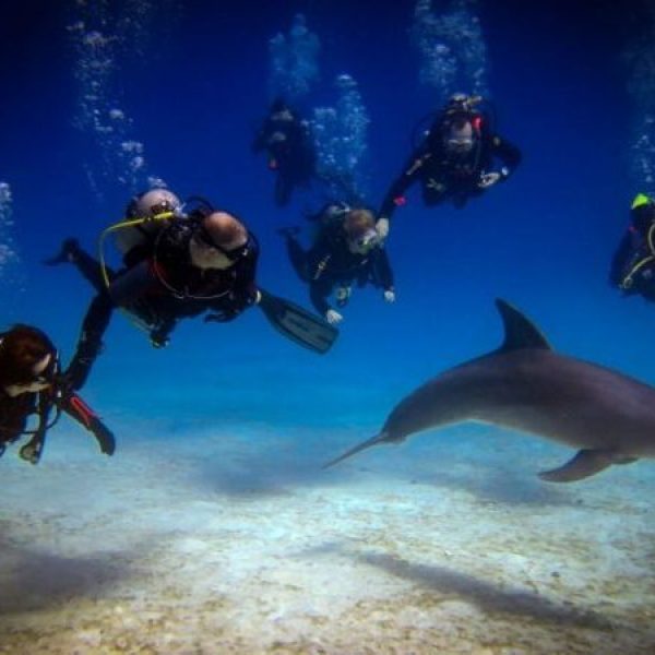 diving-in-hurghada-674x450-1-600x450