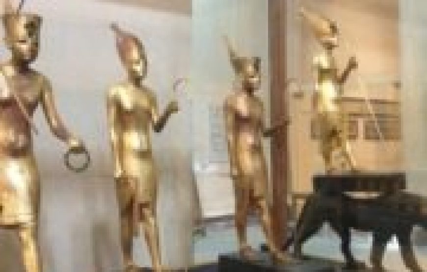 Cairo: Egyptian Museum Tour