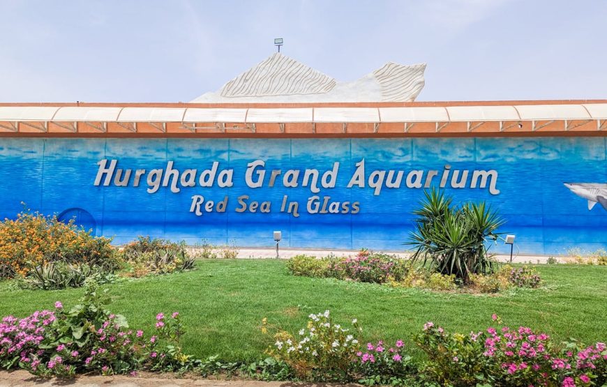 Hurghada: Grand Aquarium Entry Tickets And Transfer