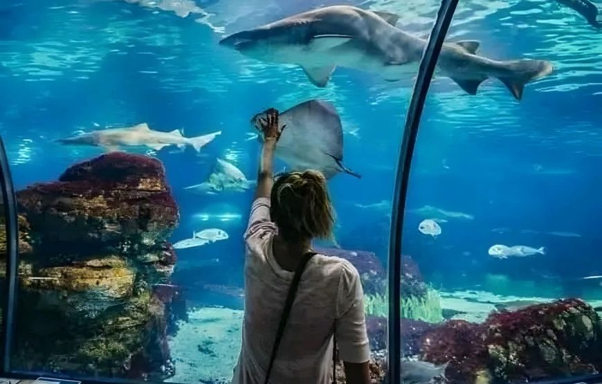 Hurghada: Grand Aquarium Entry Tickets And Transfer