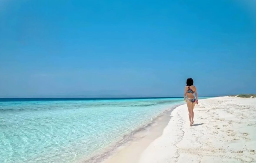 Marsa Alam: Snorkeling And Beach Trip To Sharm El Luli