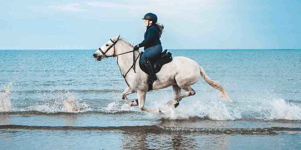horse-riding-trip-hurghada_lg