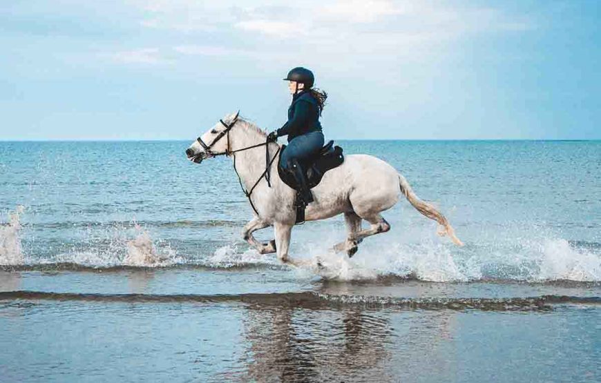 Makadi Bay: Horse Ridding Along The Sea With Swimming