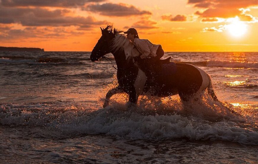 Makadi Bay: Horse Ridding Along The Sea With Swimming
