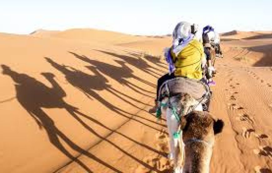 Marsa Alam: Three Hours Morning Or Sunset Quad Bike Safari With Camel Ride