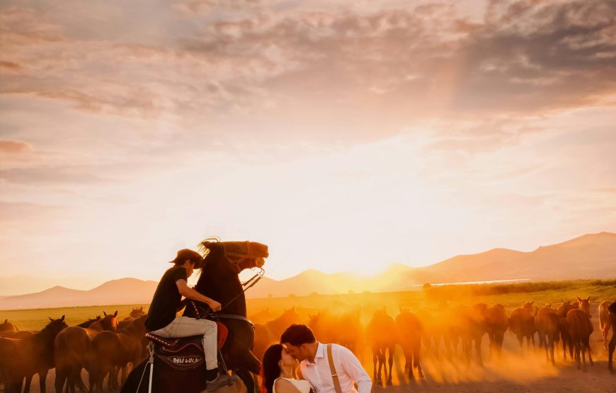 Marsa Alam: Horse And Camel Ride On The Desert Or Beach