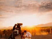 Tour a cavallo privato a El Gouna – 2 ore con guida
