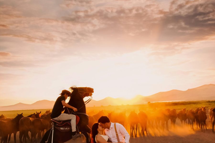 El Gouna: Horse Riding Private 2 Hours With Guide