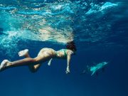 diving in Gouna