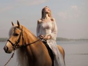 El Gouna Passeggiata a cavallo sul mare con nuoto – Tour privato
