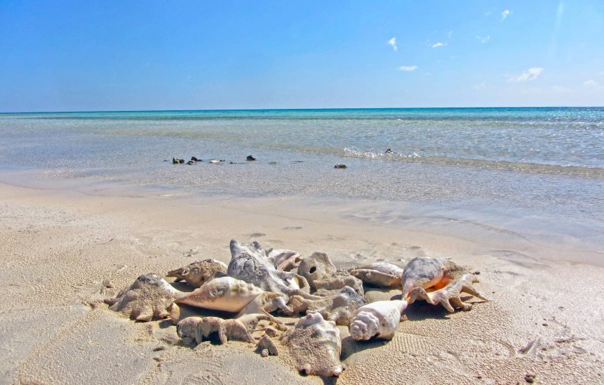 Marsa Alam: Snorkeling And Beach Trip To Sharm El Luli