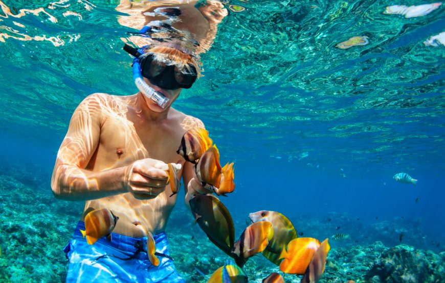 Hurghada: Private Boat Full-Day Snorkeling Trip With Lunch