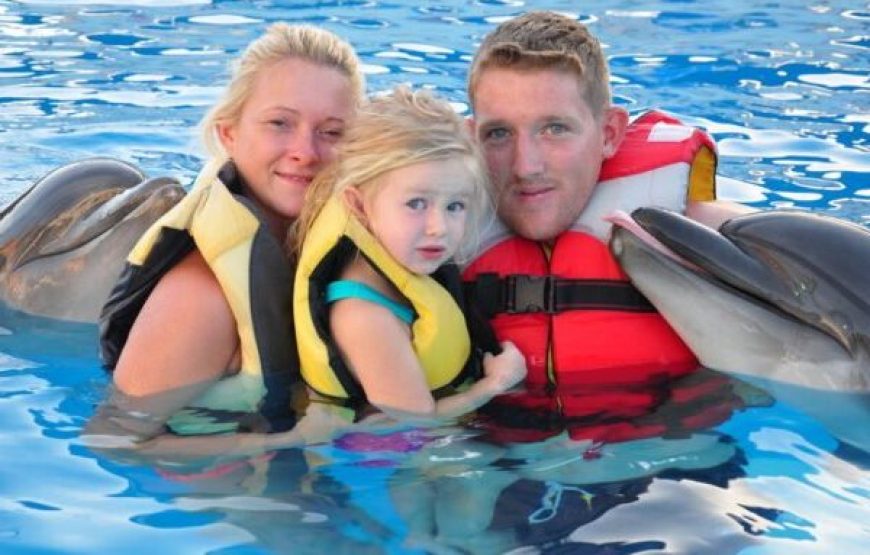 Hurghada: Dolphin World Show Tickets And Transfers