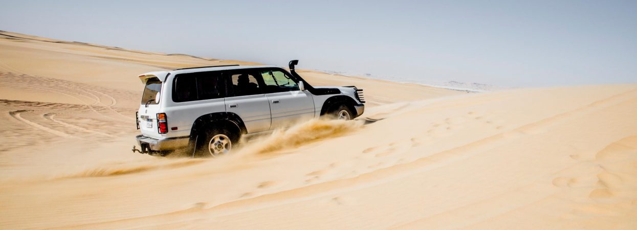 24-1245x450-1.jpg