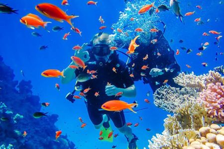 Sezonul de Scufundări la Marea Roșie: Sharm vs Hurghada vs Dahab — Care Ți se Potrivește?