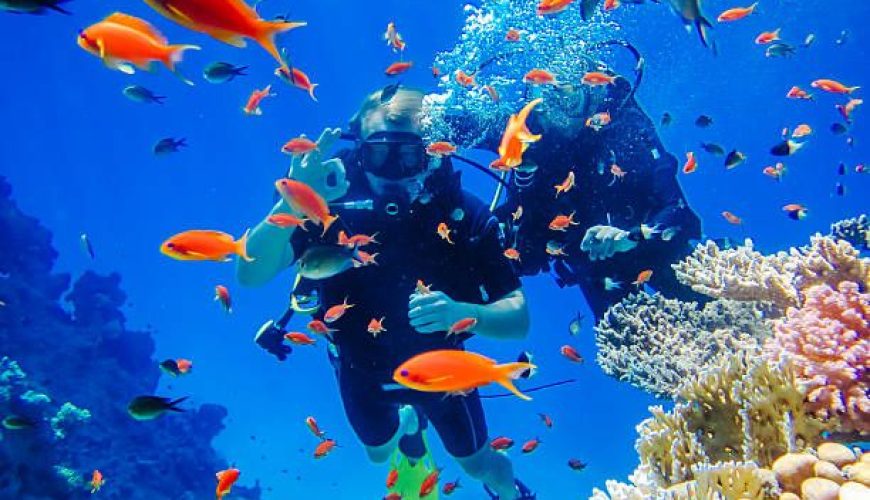 Stagione della Subacquea nel Mar Rosso: Sharm vs Hurghada vs Dahab — Qual è la scelta giusta per te?