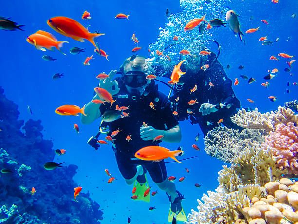 Stagione della Subacquea nel Mar Rosso: Sharm vs Hurghada vs Dahab — Qual è la scelta giusta per te?