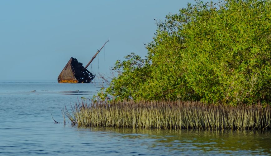 Заповедник Набк: там, где пустыня встречается с морем